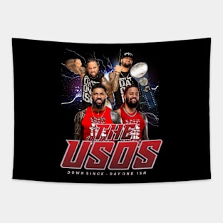 THE USOS Tapestry