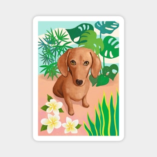 Red Haired Dachshund Magnet