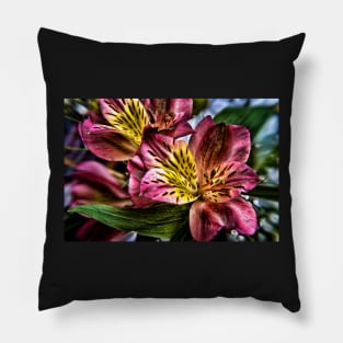 Alstroemeria Peruvian Lily flowers Pillow