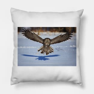 In your face - Great Grey Owl Pillow