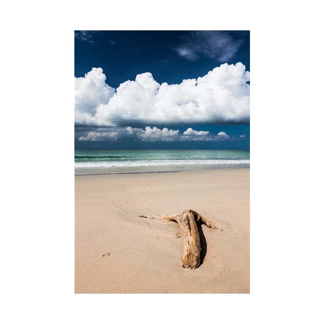 Beach driftwood and dark blue sky by Juhku