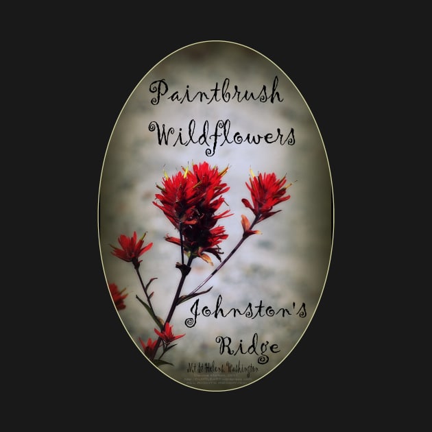 paintbrush wildflowers, Johnston's Ridge 2 oval by DlmtleArt