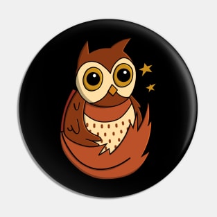 Brown Feathered Owl Pin