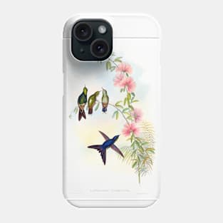 Small-billed Thornbill Phone Case