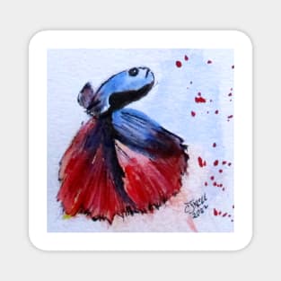 Betta Fish No3 Magnet