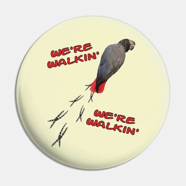 African Grey Parrot Walking Pin by Einstein Parrot