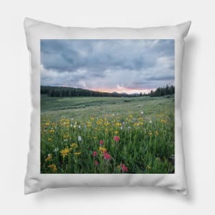 Wildflowers in the breeze II Pillow