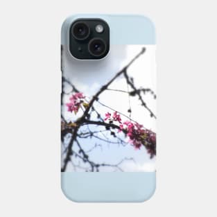 red Malus Radiant crab apple blossoms #7 Phone Case
