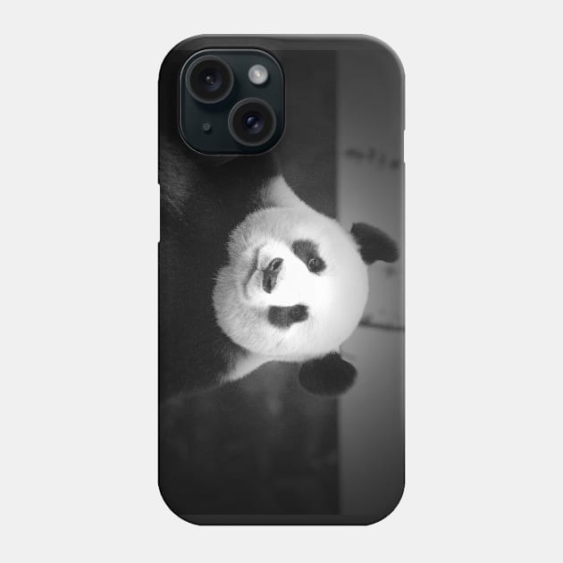 Giant Panda Phone Case by LeanneAllen