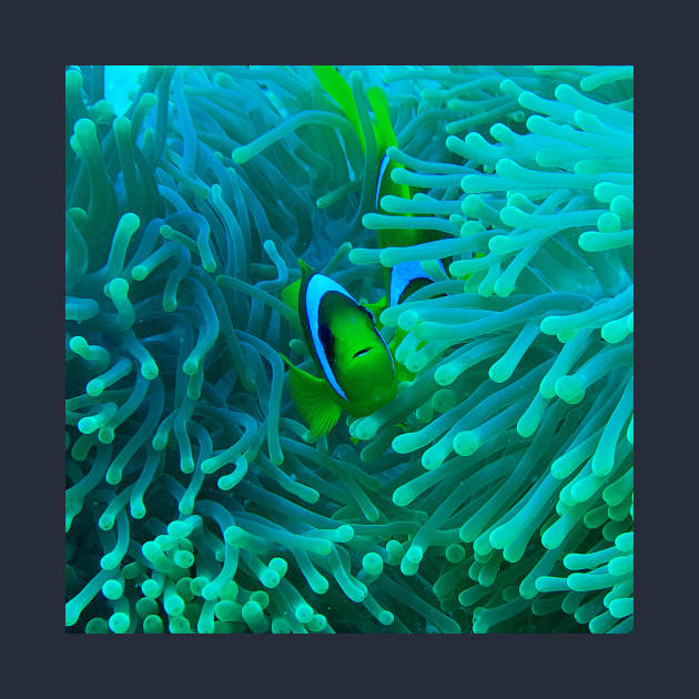 Sea Anemone and Fish by likbatonboot