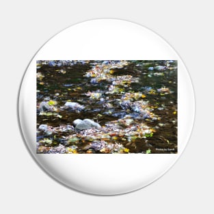 Babbling Autumn Brook Pin