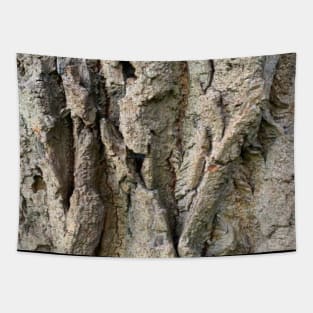 Tree Grooves Photography Tapestry