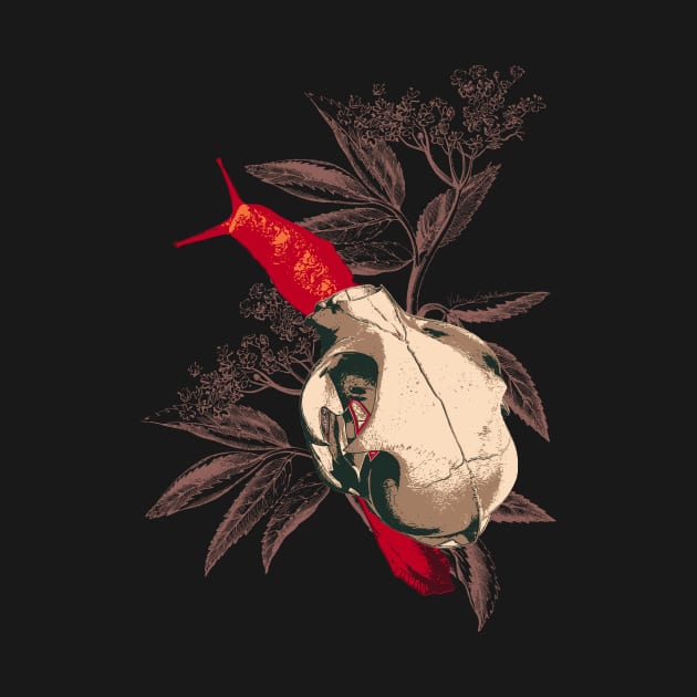 Enigmatic Escargots: Spooky Art Print Featuring Red Snail Donning Cat Skull Shell by venglehart