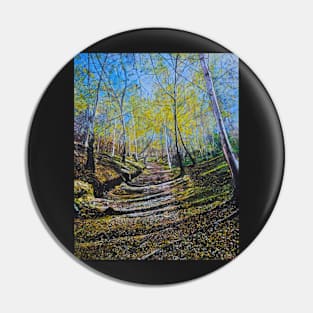 Autumn Path Pin