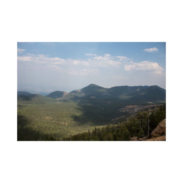 Above The Tree Line by Jacquelie