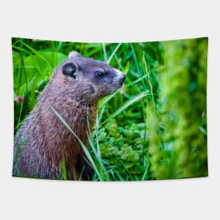 Groundhog in the Grass Photograph Tapestry