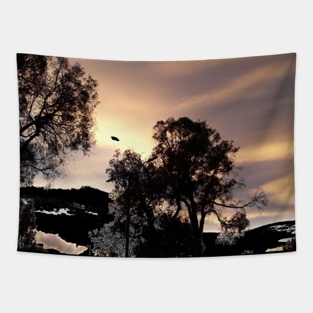 Evening Sunset Photography My Tapestry by ShubShank