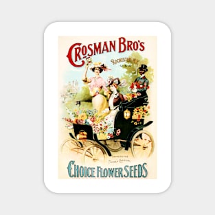 CROSMAN BROS Choice Flower Seeds Vintage America Advertisement Magnet