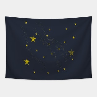 Starry Tapestry