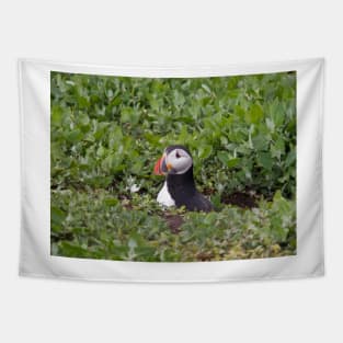 Lonely puffin Tapestry