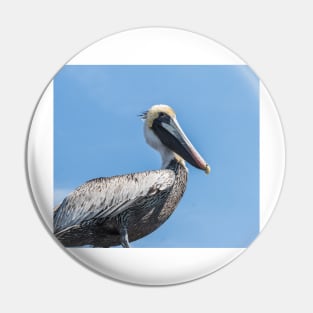 powerful pelican Pin