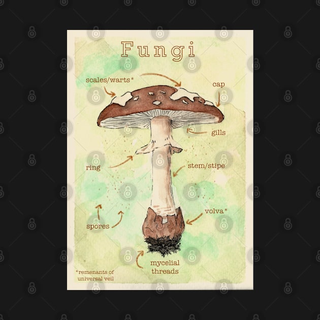 vintage fungi poster by svenj-creates