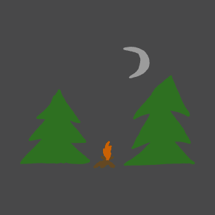 Campfire in the Woods T-Shirt