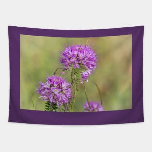 Rocky Mountain Bee Plant Tapestry