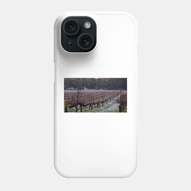 Frosty in the Vines - Adelaide Hills - Fleurieu Peninsula by South Australian artist Avril Thomas Phone Case by MagpieSprings