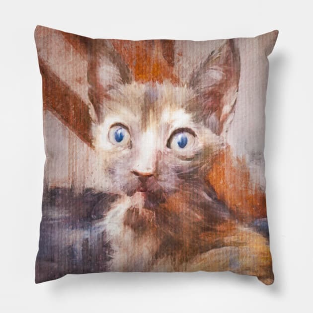 Funny Cat Reaction | Artwork + Photography by Artist Haitam Ouahabi Pillow by Haitam Ouahabi