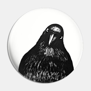 Crow? Pin