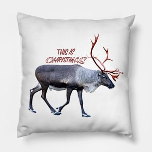 This is Christmas Pillow