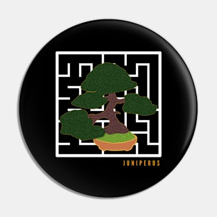 Bonsai maze Pin