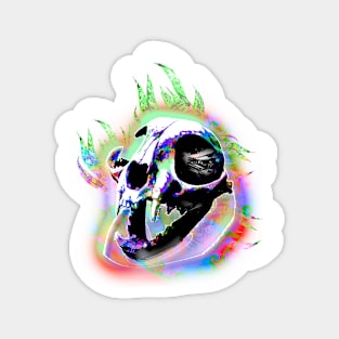 skull Magnet