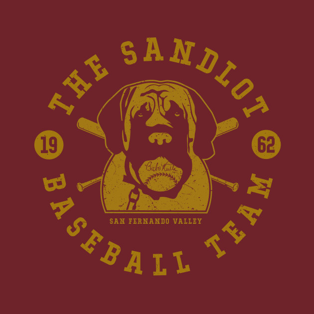 sandlostbaseballteam
