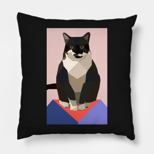 Black and White Geometric Cat Pillow