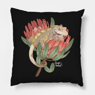 Crested Gecko with Protea Flower Pillow