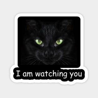 I am watching you Cat love Magnet