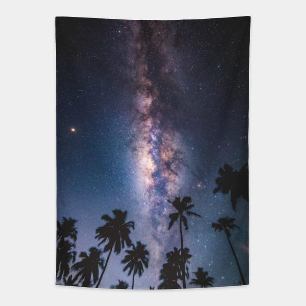 Tropical Galaxy Tapestry by NewburyBoutique