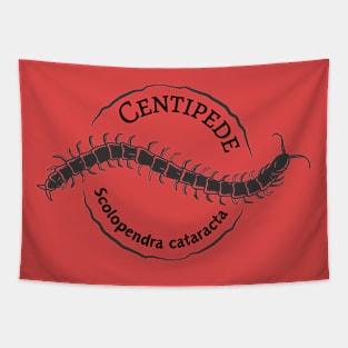 Centipedes (Scolopendra cataracta) Tapestry