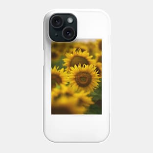 Sunflowers in closeup at sunset Phone Case