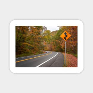 Winding Autumn Road Magnet