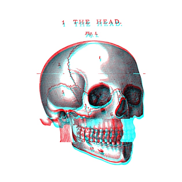 Glitch Skull by TKL