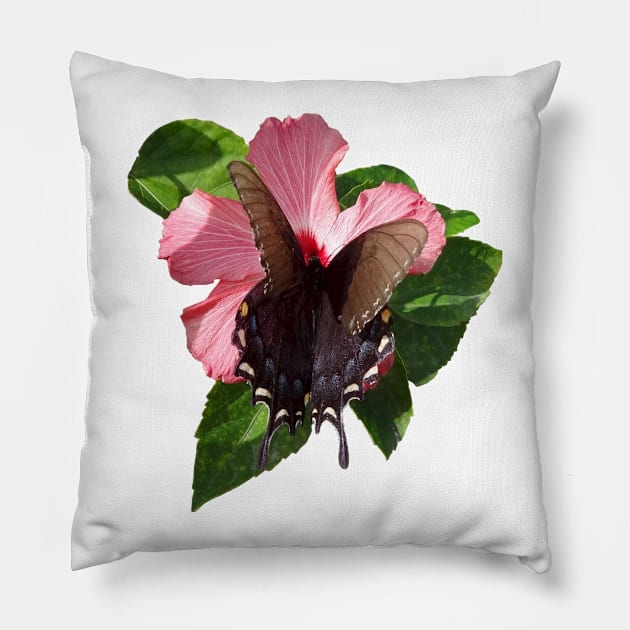 Swallowtail Black Butterfly On Hibiscus by Orikall Pillow by Orikall