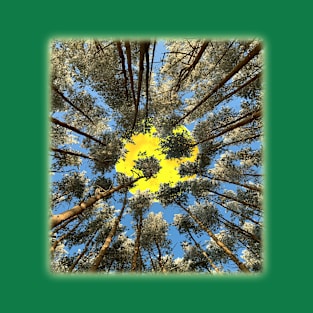 Sunny Forest T-Shirt
