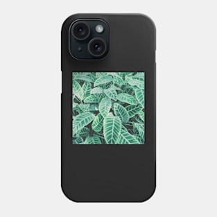 Pattern of Leaves Phone Case