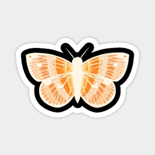 Orange Monarch Butterfly Magnet