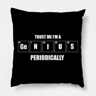 Genius Pillow