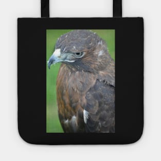 Gazing Out Tote