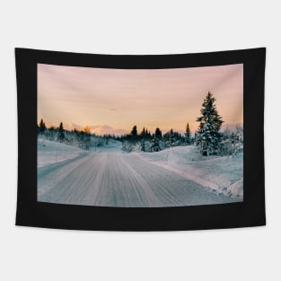 Scandinavian Winter Landscape in Warm Evening Sunlight Shot on Film Tapestry